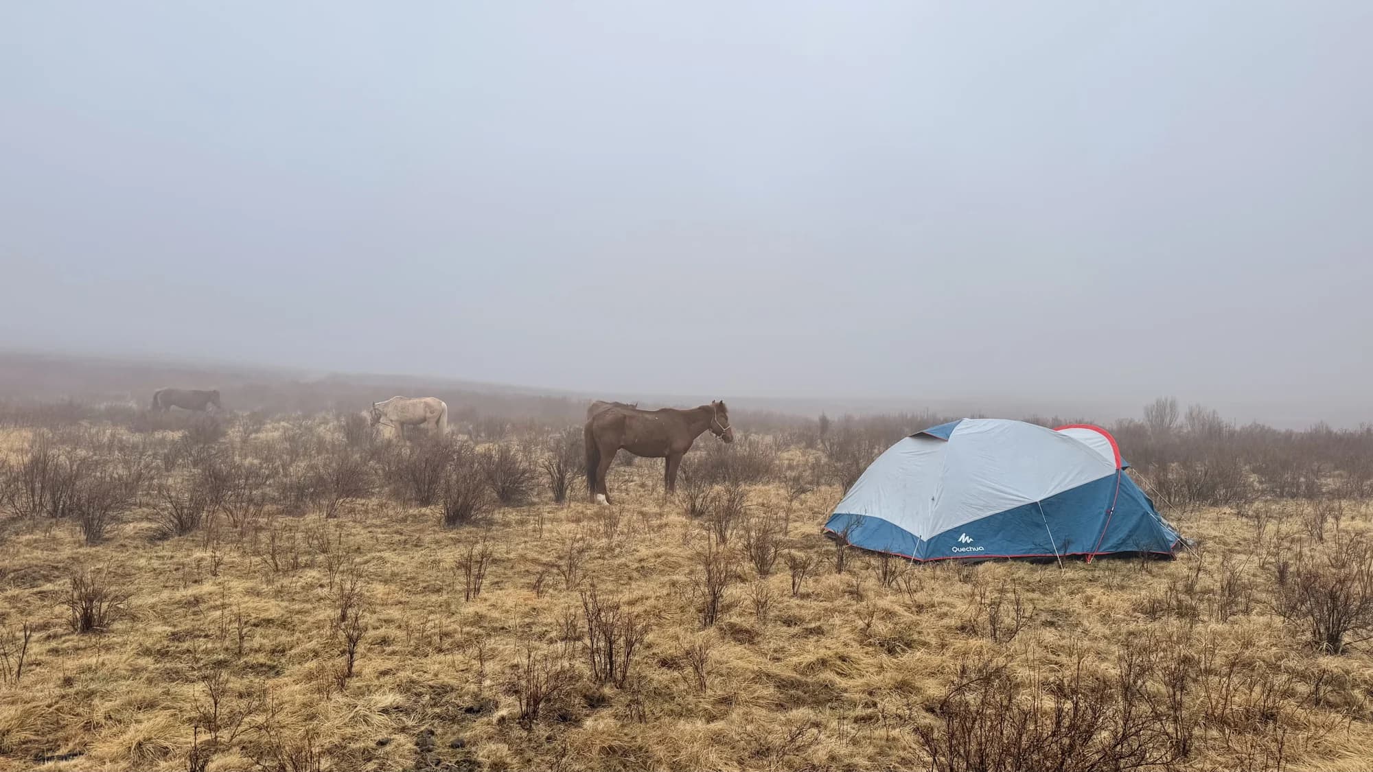 KHAGIIN KHAR LAKE HORSE TREKKING TOUR 8 DAYS