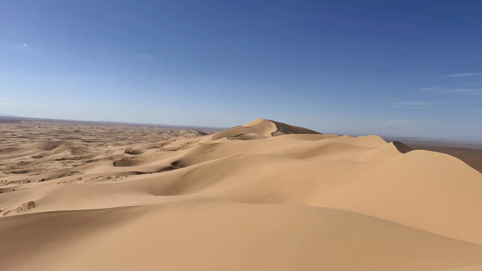 Golden dunes in the Mongolian Gobi Desert