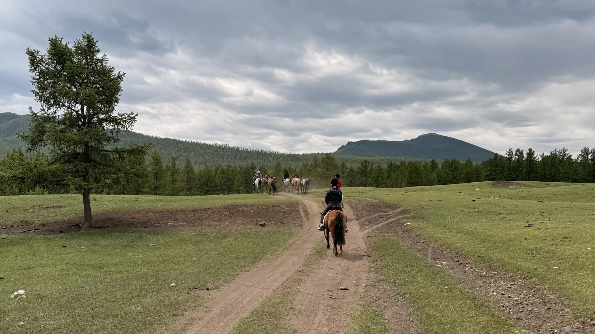 TERELJ NATIONAL PARK DAY TOUR